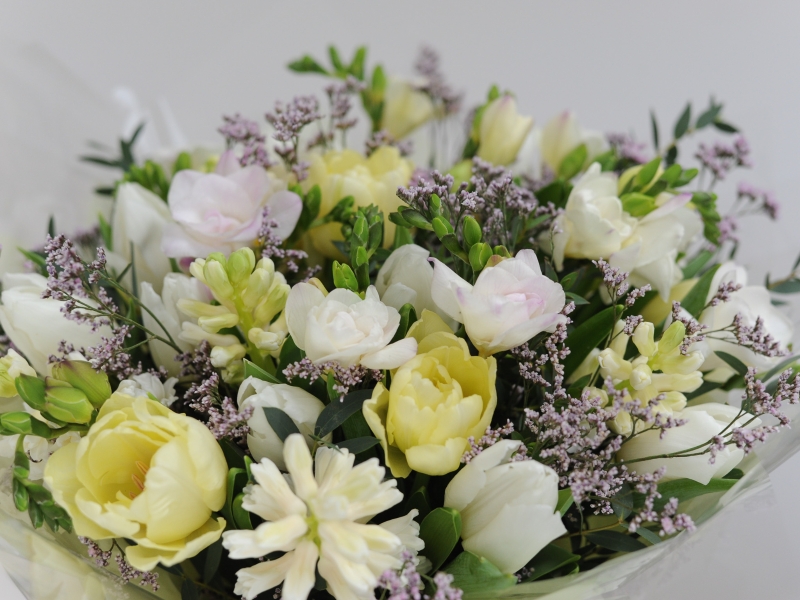 Full of The Joys of Spring PASTEL