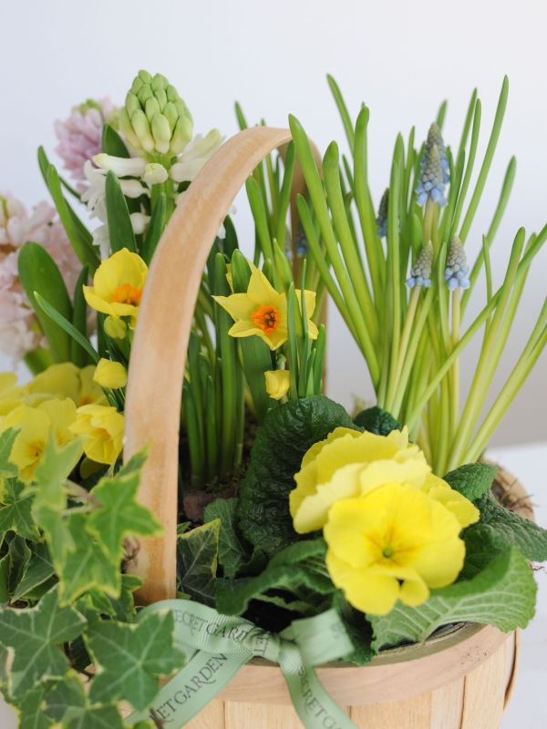 Spring Planted Basket