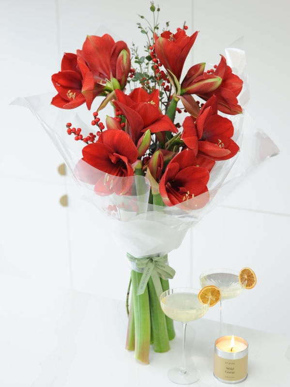 Step Into Christmas  WHITE OR RED