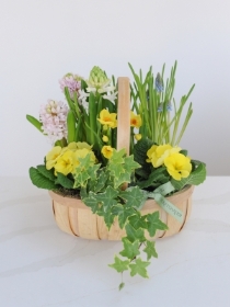 Spring Planted Basket
