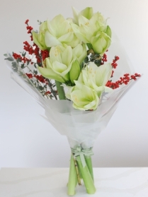 Step Into Christmas  WHITE OR RED